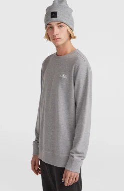 HommesSweatshirt O'Neill Small Logo Crew| Gris