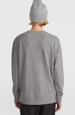 HommesSweatshirt O'Neill Small Logo Crew| Gris
