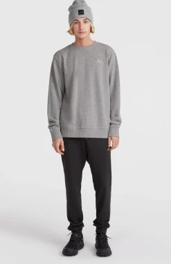 HommesSweatshirt O'Neill Small Logo Crew| Gris