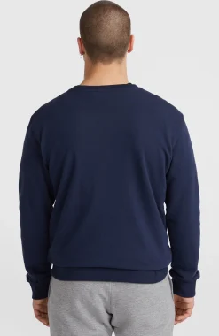 HommesSweatshirt O'Neill Small Logo Crew| Bleu