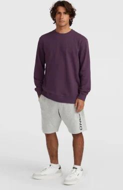 HommesSweatshort à logo O'Neill| Gris