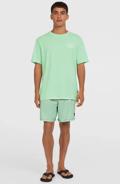 HommesT-shirt Box Logo| Vert