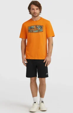 HommesT-shirt Graphic| Orange