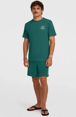 HommesT-shirt Melange Chest-Print| Vert