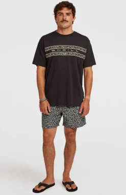 HommesT-shirt O'Neill Flower Stripe| Noire