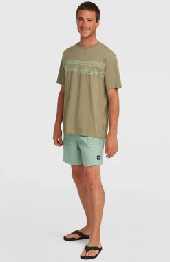 HommesT-shirt O'Neill Flower Stripe| Vert
