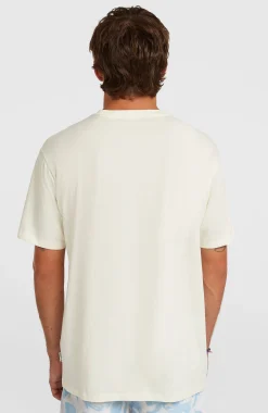 HommesT-shirt O'Neill Flower Stripe| Blanc
