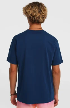 HommesT-shirt O'Neill Gradient| Bleu