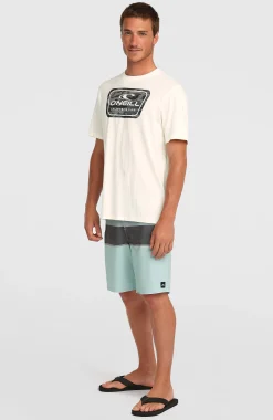 HommesT-shirt O'Neill Graphic| Blanc