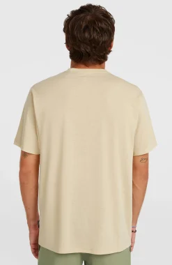 HommesT-shirt O'Neill Hybrid Polygiene Graphic| Beige
