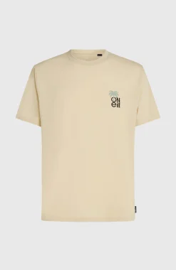 HommesT-shirt O'Neill Hybrid Polygiene Graphic| Beige