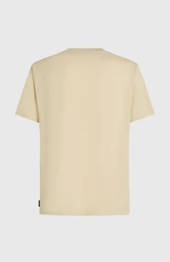 HommesT-shirt O'Neill Hybrid Polygiene Graphic| Beige