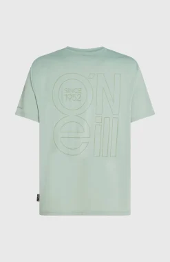 HommesT-shirt O'Neill Hybrid UPF 50+ Polygiene Back-Print| Vert