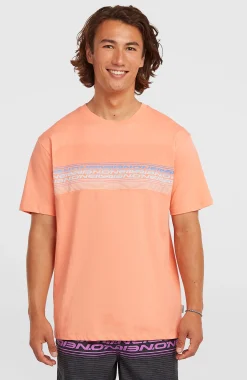 HommesT-shirt O'Neill Logo Stripe| Orange