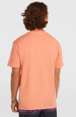 HommesT-shirt O'Neill Logo Stripe| Orange