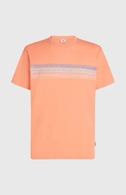 HommesT-shirt O'Neill Logo Stripe| Orange