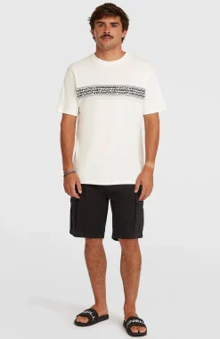 HommesT-shirt O'Neill Logo Stripe| Blanc