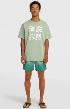 HommesT-shirt O'Neill Melange Front-Print| Vert