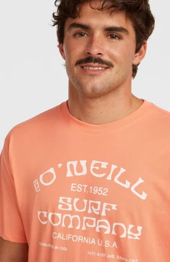 HommesT-shirt O'Neill Muir| Orange