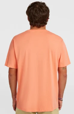 HommesT-shirt O'Neill Muir| Orange
