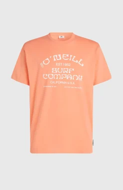 HommesT-shirt O'Neill Muir| Orange