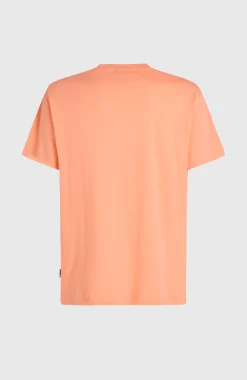 HommesT-shirt O'Neill Muir| Orange