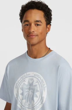 HommesT-shirt O'Neill Must-Have Graphic| Bleu
