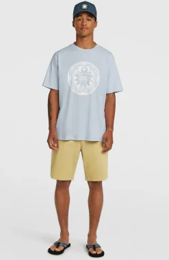 HommesT-shirt O'Neill Must-Have Graphic| Bleu