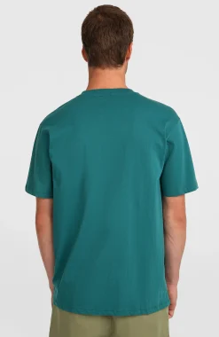 HommesT-shirt O'Neill Must-Have Graphic| Vert