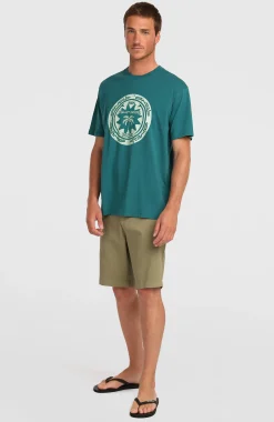 HommesT-shirt O'Neill Must-Have Graphic| Vert