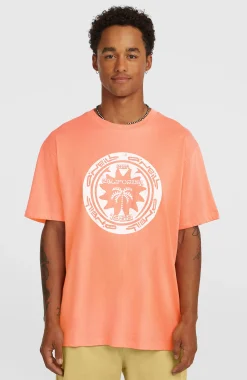 HommesT-shirt O'Neill Must-Have Graphic| Orange