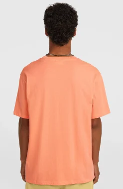 HommesT-shirt O'Neill Must-Have Graphic| Orange