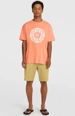 HommesT-shirt O'Neill Must-Have Graphic| Orange