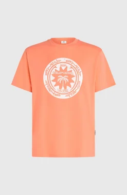 HommesT-shirt O'Neill Must-Have Graphic| Orange