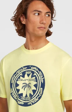 HommesT-shirt O'Neill Must-Have Graphic| Jaune
