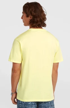 HommesT-shirt O'Neill Must-Have Graphic| Jaune