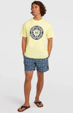 HommesT-shirt O'Neill Must-Have Graphic| Jaune