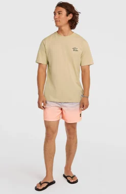 HommesT-shirt O'Neill Retro Back-Print| Beige