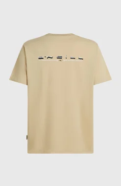 HommesT-shirt O'Neill Retro Back-Print| Beige