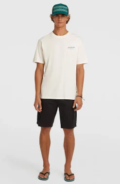 HommesT-shirt O'Neill Retro Back-Print| Blanc