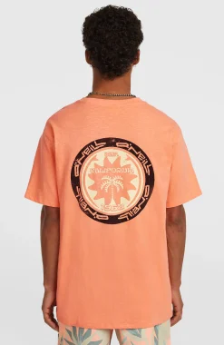 HommesT-shirt O'Neill Slub Back-Print| Orange