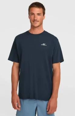 HommesT-shirt O'Neill Small Logo| Bleu