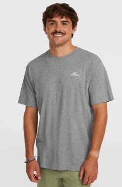 HommesT-shirt O'Neill Small Logo| Gris