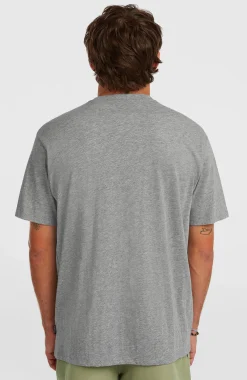 HommesT-shirt O'Neill Small Logo| Gris