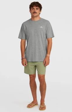HommesT-shirt O'Neill Small Logo| Gris