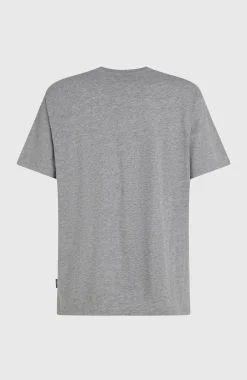 HommesT-shirt O'Neill Small Logo| Gris