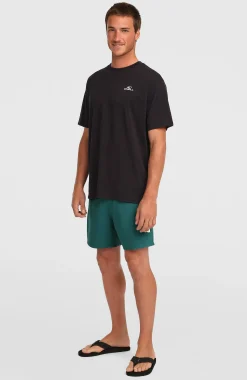 HommesT-shirt O'Neill Small Logo| Noire