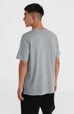 HommesT-shirt O'Neill Small Logo| Gris