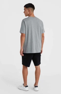 HommesT-shirt O'Neill Small Logo| Gris