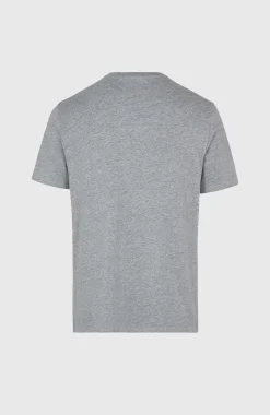 HommesT-shirt O'Neill Small Logo| Gris